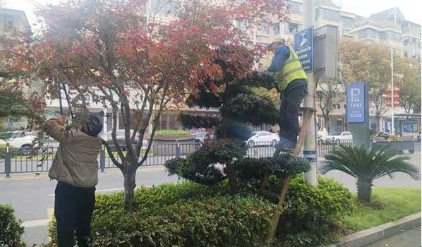 微信截图_20241212183726.png