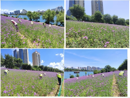 微信截图_20250704174056.png