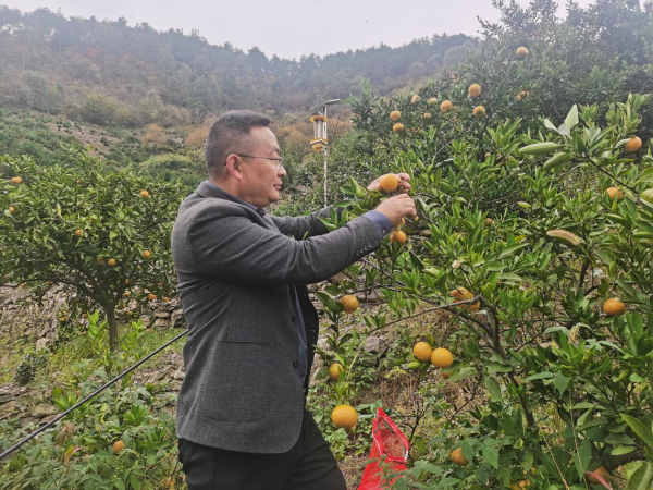 61278516.png 图片3_副本.png