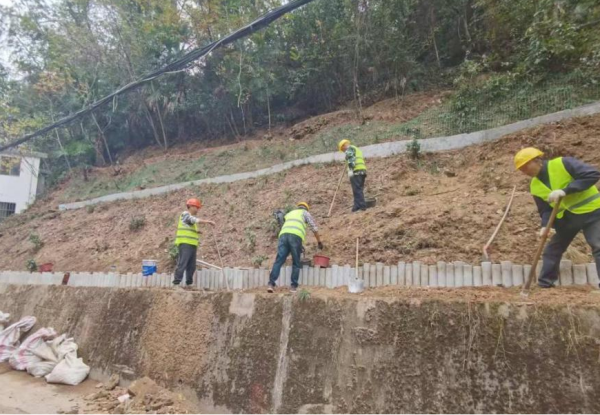 29515829.png 图片2_副本.png