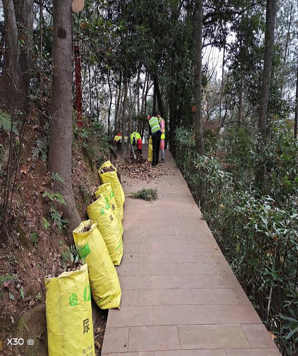 33529226.png 图片2.png